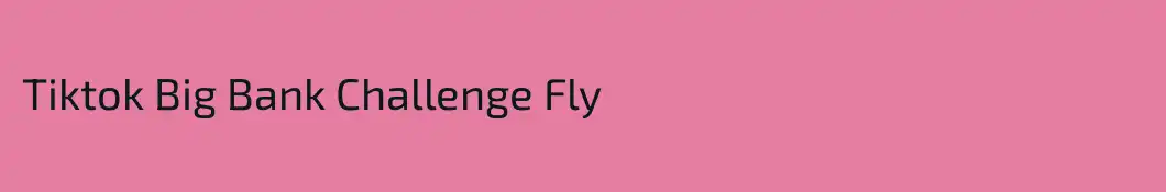 Tiktok Big Bank Challenge Fly 